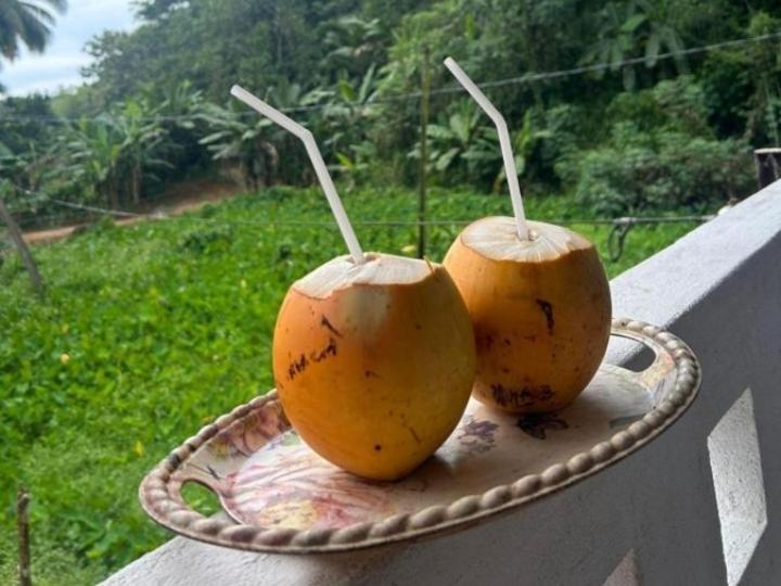 Sandaru Holiday Resort Weligama Εξωτερικό φωτογραφία